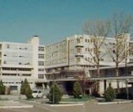 SEDE VIA CALANDRA