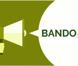 bando 2