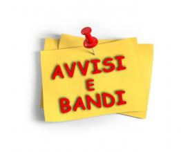 bando rettifica