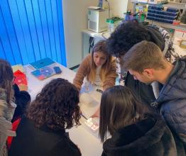 Or