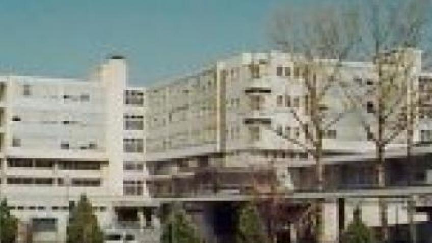 SEDE VIA CALANDRA