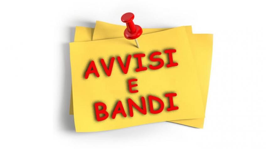selezione docenti